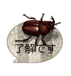 スマホの上の昆虫6（ポップアップ）（個別スタンプ：20）