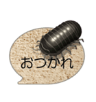 スマホの上の昆虫6（ポップアップ）（個別スタンプ：21）