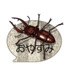 スマホの上の昆虫6（ポップアップ）（個別スタンプ：24）