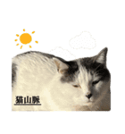 ねこさんら（実写版）3（個別スタンプ：12）
