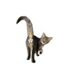 ねこさんら（実写版）3（個別スタンプ：14）