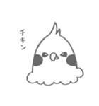 クロさん日常スタンプ（個別スタンプ：16）
