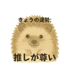 令和の今どきアニマルズ⭐︎（個別スタンプ：13）