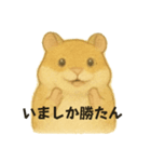 令和の今どきアニマルズ2（個別スタンプ：5）
