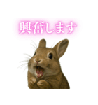 【面白い・エロ】本物のウサギ（個別スタンプ：7）