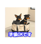 ミニピン・リアクションスタンプ（個別スタンプ：23）