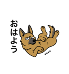 名前入りシェパード（個別スタンプ：1）