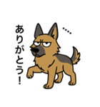 名前入りシェパード（個別スタンプ：2）