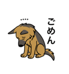 名前入りシェパード（個別スタンプ：3）