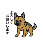 名前入りシェパード（個別スタンプ：7）