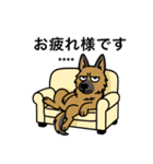 名前入りシェパード（個別スタンプ：8）