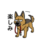名前入りシェパード（個別スタンプ：12）