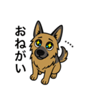 名前入りシェパード（個別スタンプ：15）