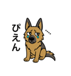 名前入りシェパード（個別スタンプ：16）