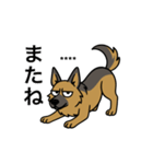 名前入りシェパード（個別スタンプ：17）