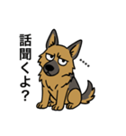 名前入りシェパード（個別スタンプ：19）