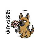 名前入りシェパード（個別スタンプ：24）