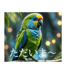 静かに圧がすごいインコたち（個別スタンプ：2）