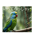 静かに圧がすごいインコたち（個別スタンプ：3）
