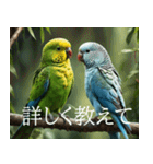 静かに圧がすごいインコたち（個別スタンプ：4）