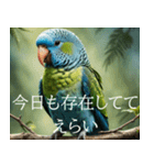 静かに圧がすごいインコたち（個別スタンプ：5）