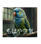 静かに圧がすごいインコたち（個別スタンプ：6）