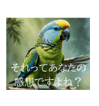 静かに圧がすごいインコたち（個別スタンプ：8）