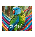 静かに圧がすごいインコたち（個別スタンプ：9）