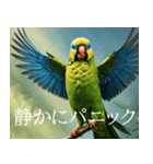 静かに圧がすごいインコたち（個別スタンプ：10）
