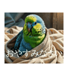 静かに圧がすごいインコたち（個別スタンプ：11）
