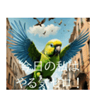 静かに圧がすごいインコたち（個別スタンプ：15）