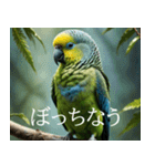 静かに圧がすごいインコたち（個別スタンプ：21）