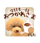 【プードルのおうち】動くよ！Pop-Up！（個別スタンプ：24）