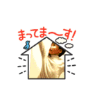 こだまこども①（個別スタンプ：5）