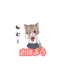 猫子スタンプNo.2（個別スタンプ：1）