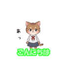 猫子スタンプNo.2（個別スタンプ：2）