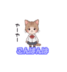 猫子スタンプNo.2（個別スタンプ：3）