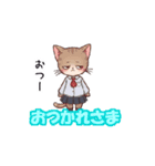 猫子スタンプNo.2（個別スタンプ：5）