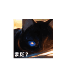 可愛い黒猫の仲間（個別スタンプ：2）