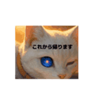 可愛い黒猫の仲間（個別スタンプ：6）