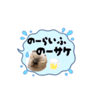 お酒とネコ好きな日常会話 42（個別スタンプ：7）
