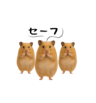 ハムスター様の吹き出しスタンプ（個別スタンプ：2）