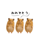 ハムスター様の吹き出しスタンプ（個別スタンプ：4）