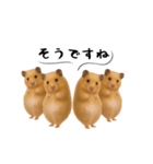 ハムスター様の吹き出しスタンプ（個別スタンプ：6）