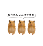 ハムスター様の吹き出しスタンプ（個別スタンプ：8）