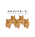 ハムスター様の吹き出しスタンプ（個別スタンプ：12）