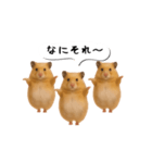 ハムスター様の吹き出しスタンプ（個別スタンプ：16）
