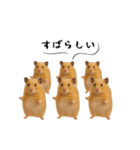 ハムスター様の吹き出しスタンプ（個別スタンプ：17）