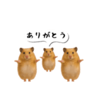 ハムスター様の吹き出しスタンプ（個別スタンプ：18）