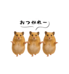 ハムスター様の吹き出しスタンプ（個別スタンプ：23）